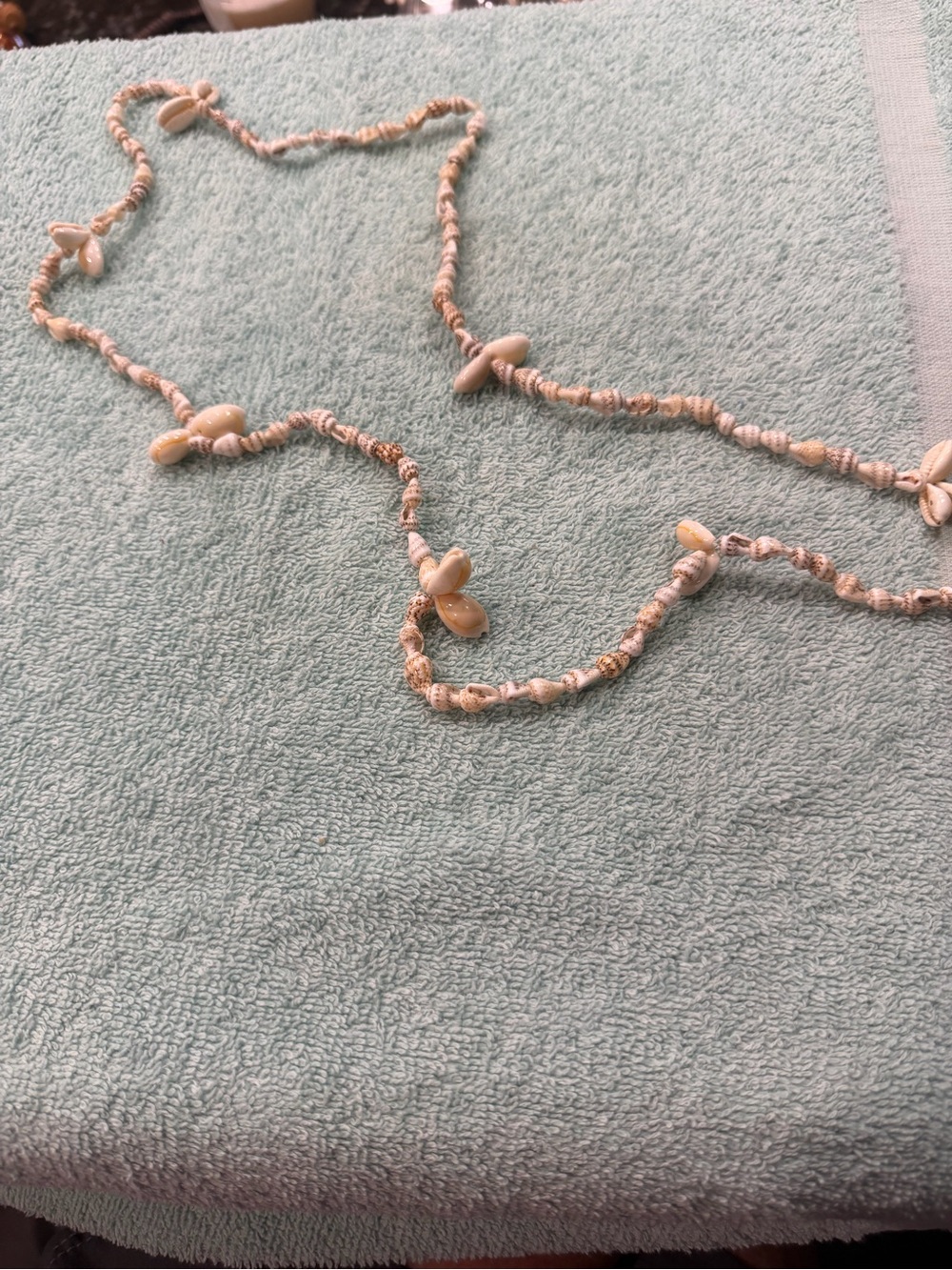 Shell Bead Long Necklace in Cream
